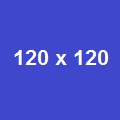 100%